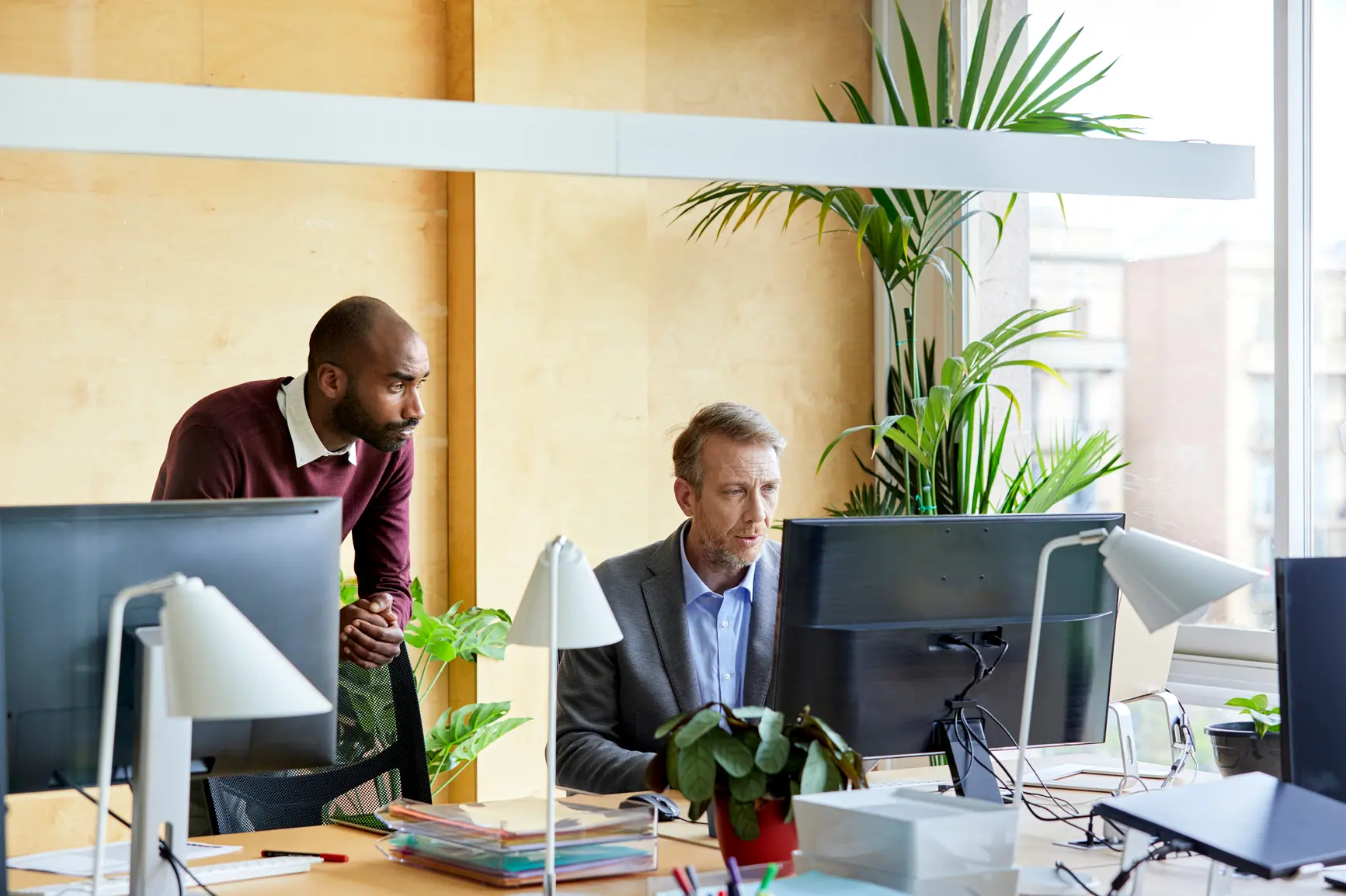 Two colleagues in a bright, plant-covered office are working on a presentation on the PC.